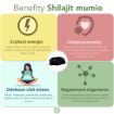 Obrázek Zvýhodněný set: 2 x Shilajit - čištěné mumio premium (500mg) - 80 kapslí - Herbatica