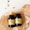 Obrázek Čaga sibiřská - 60 veganských kapslí (300mg/ kapsle)- Herbatica