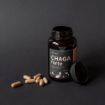 Obrázek Čaga sibiřská FORTE - 60 veganských kapslí (600mg/kapsle) - Herbatica