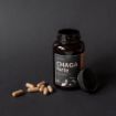 Obrázek Výhodný set: 2× Čaga sibiřská FORTE - 60 veganských kapslí (600mg/kapsle) - Herbatica
