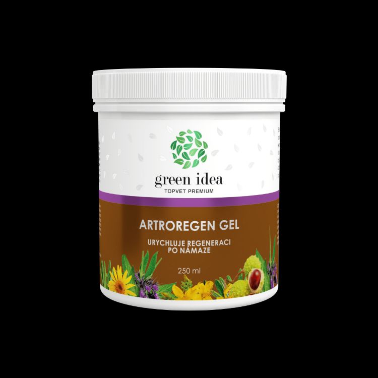 Obrázek Artroregen masážní gel 250 ml - Green idea
