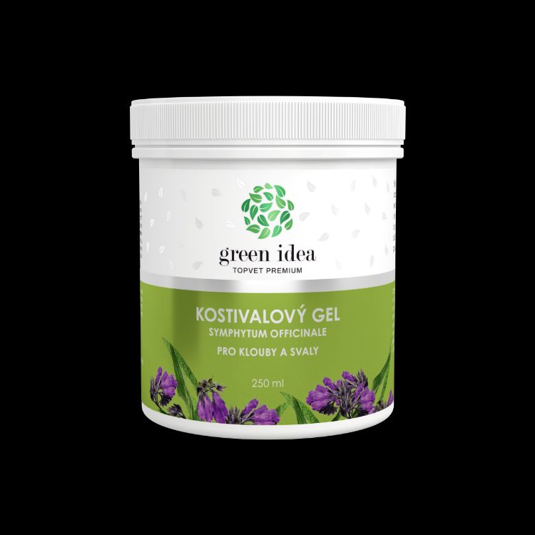 Obrázek Kostivalový masážní gel 250 ml - Green idea