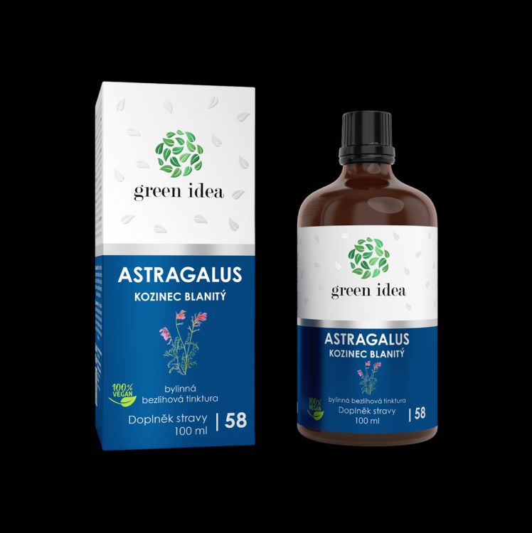 Obrázek Astragalus - bezlihová tinktura 100 ml - Green idea