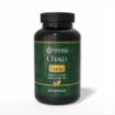 Obrázek Čaga sibiřská FORTE - 60 veganských kapslí (600mg/kapsle) - Herbatica