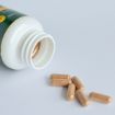 Obrázek Fat Burner - 70 kapslí - Herbatica