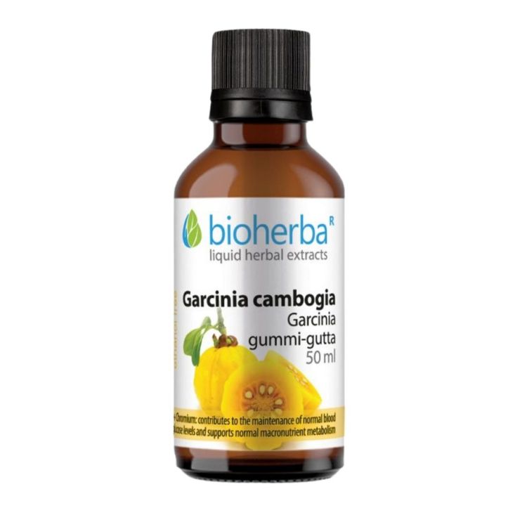 Obrázek Garcinia Cambogia – tinktura kapky – 50 ml – Bioherba