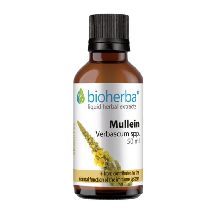Obrázek Divozel – tinktura kapky – 50 ml – Bioherba