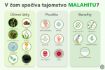 Obrázek Malahit – hygienický a kosmetický přípravek pro péči o pokožku a sliznice – 30 ml – Elixir