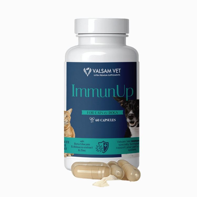 Obrázek IMMUNUP - podpora imunity pro psy a kočky 60 kapslí - Valsam Vet