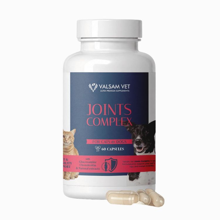 Obrázek JOINTS COMPLEX - komplexní kloubní výživa pro psy a kočky 60 kapslí - Valsam Vet