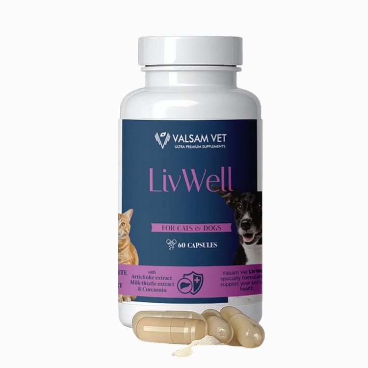 Obrázek LIVWELL - podpora jater a metabolismu pro psy a kočky 60 kapslí - Valsam Vet