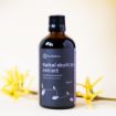 Obrázek Šišák bajkalský – tinktura 100 ml – Herbatica
