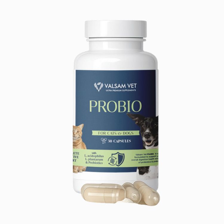 Obrázek PROBIO - probiotika a prebiotika pro psy a kočky 30 kapslí - Valsam Vet
