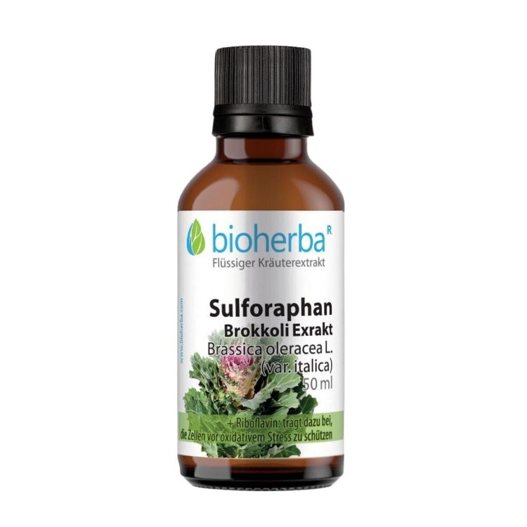 Obrázek Sulforafan – tinktura kapky – 50 ml – Bioherba