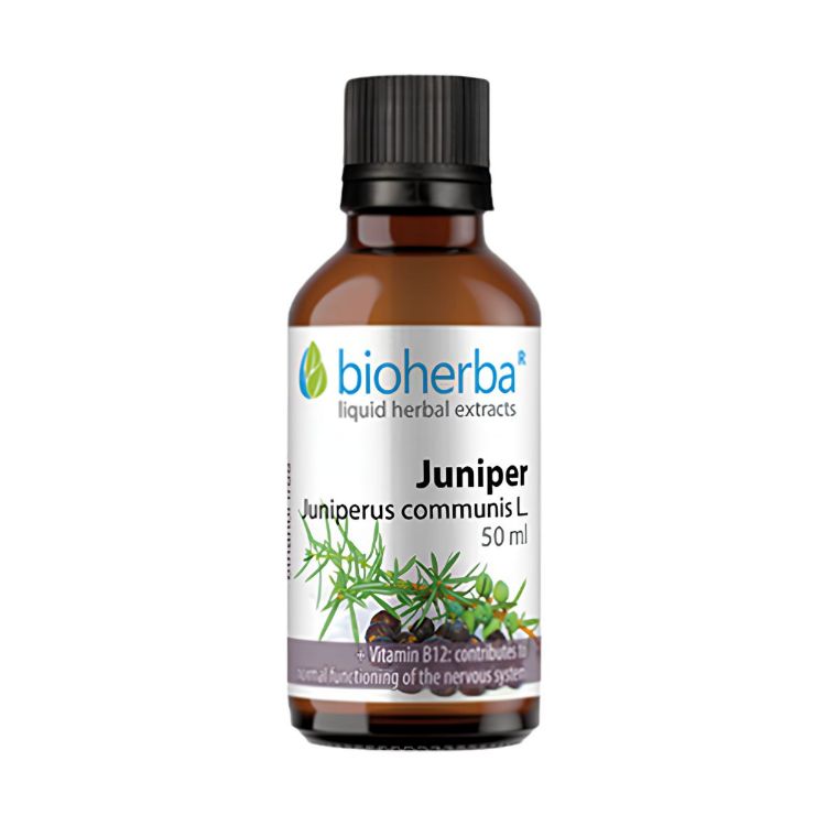 Obrázek Jalovec – tinktura kapky – 50 ml – Bioherba