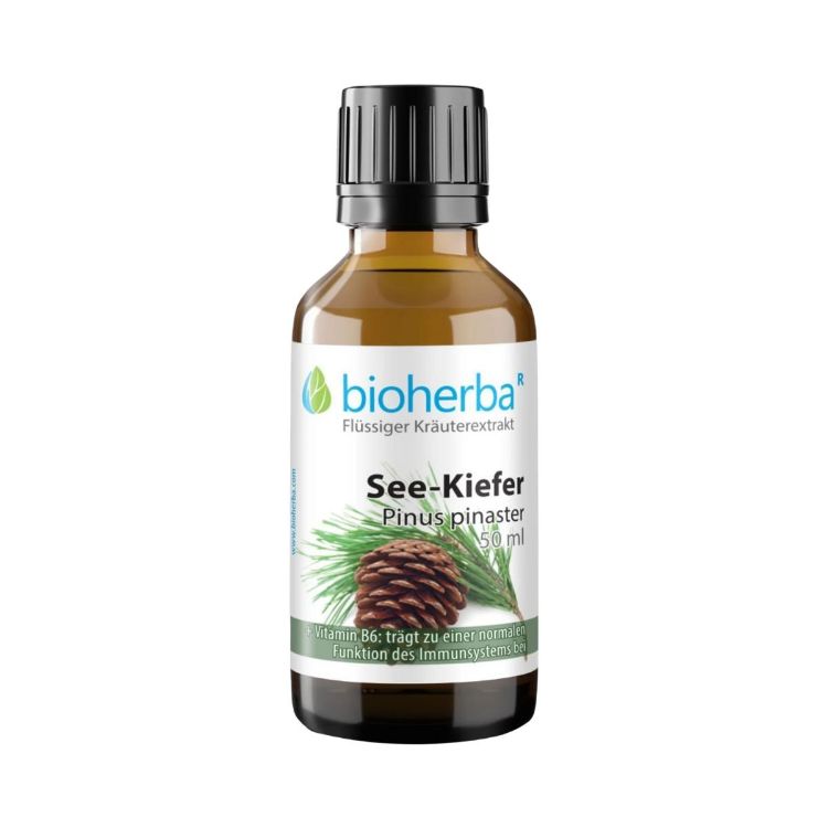 Obrázek Borovice přímořská - tinktura kapky - 50 ml - Bioherba