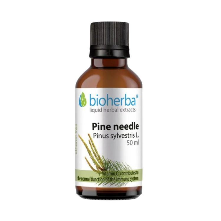 Obrázek Borovicové výhonky – tinktura kapky – 50 ml – Bioherba
