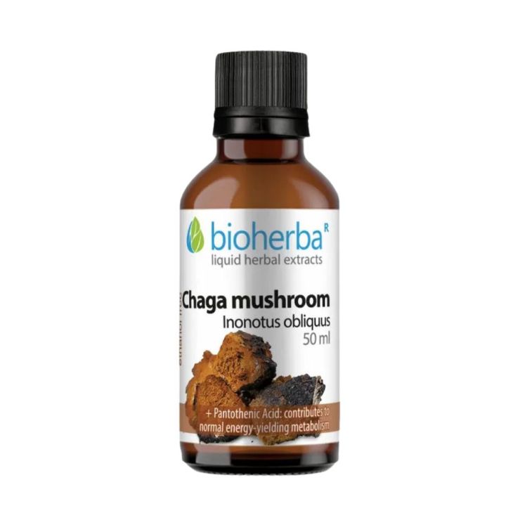 Obrázek Čaga – tinktura kapky – 50 ml – Bioherba