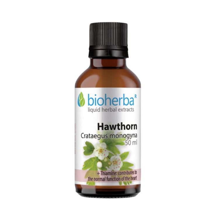 Obrázek Hloh – tinktura kapky – 50 ml – Bioherba