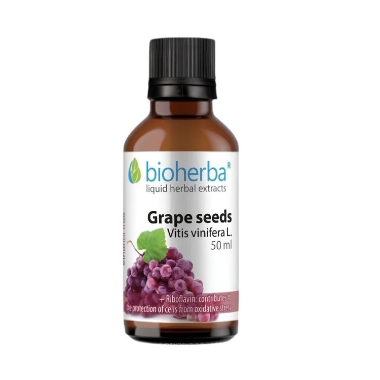 Obrázek Hroznová jadérka – tinktura kapky – 50 ml – Bioherba