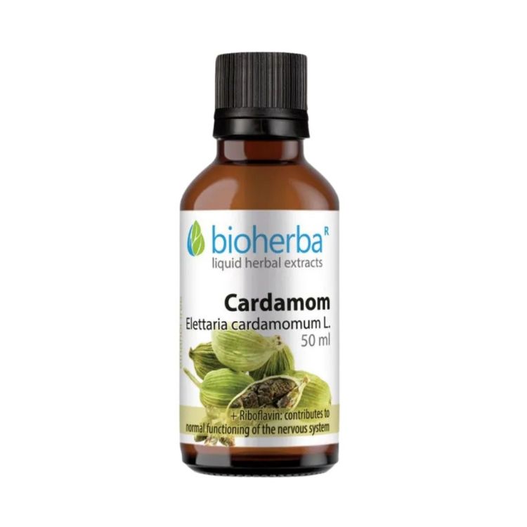 Obrázek Kardamom – tinktura kapky – 50 ml – Bioherba