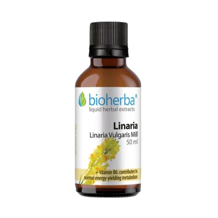 Obrázek Lnice obecná – tinktura kapky – 50 ml – Bioherba