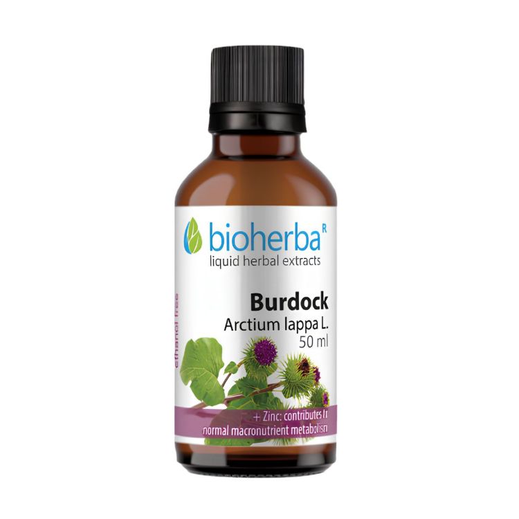 Obrázek Lopuch větší – tinktura kapky – 50 ml – Bioherba