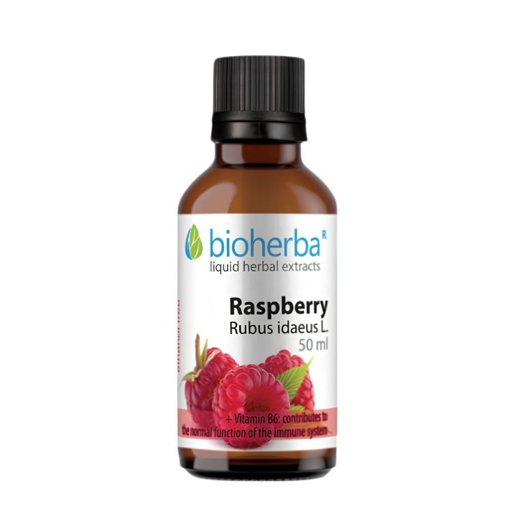Obrázek Malina – tinktura kapky – 50 ml – Bioherba
