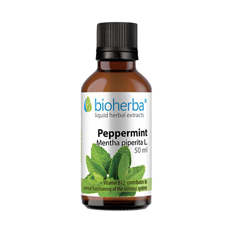 Obrázek Máta peprná – tinktura kapky – 50 ml – Bioherba