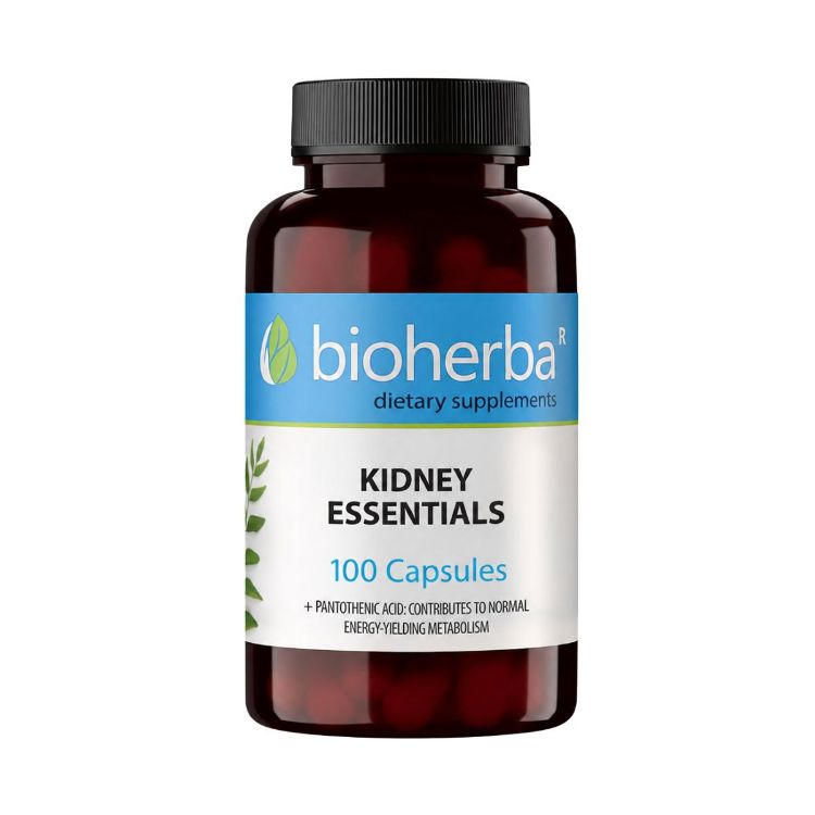 Obrázek Kidney Essentials – 100 kapslí – Bioherba