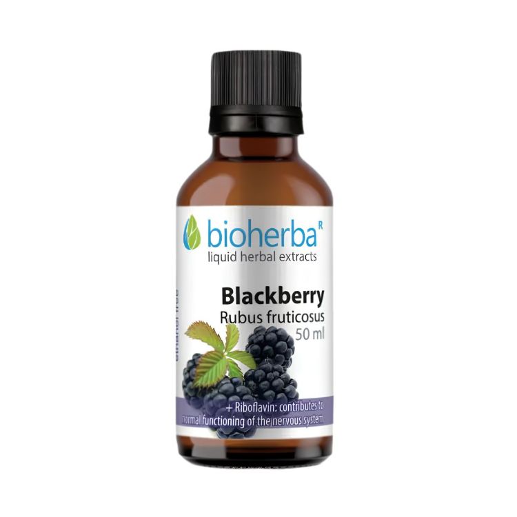 Obrázek Ostružina – tinktura kapky – 50 ml – Bioherba