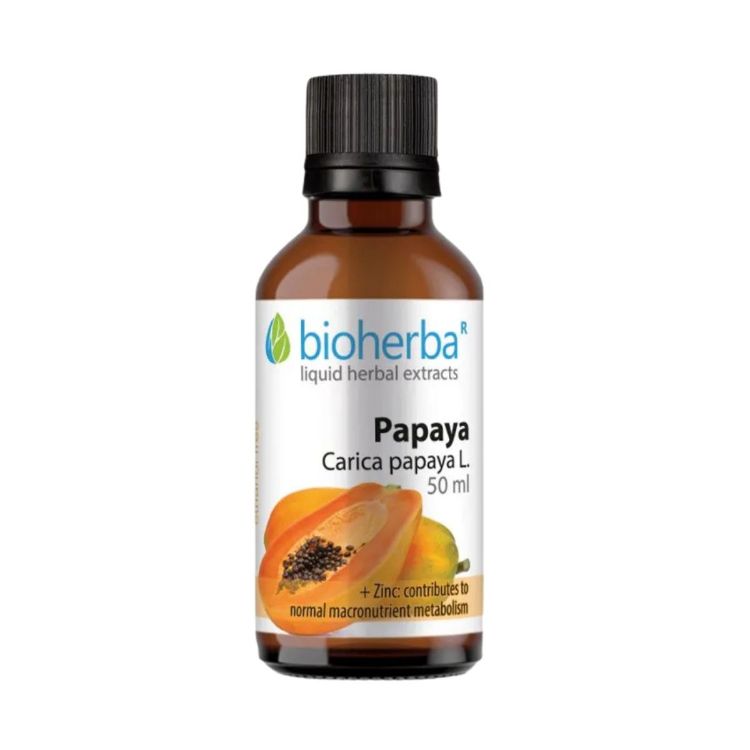 Obrázek Papája – tinktura kapky – 50 ml – Bioherba