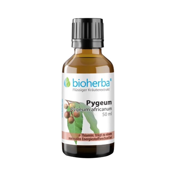 Obrázek Pygeum (africká švestka) – tinktura kapky – 50 ml – Bioherba