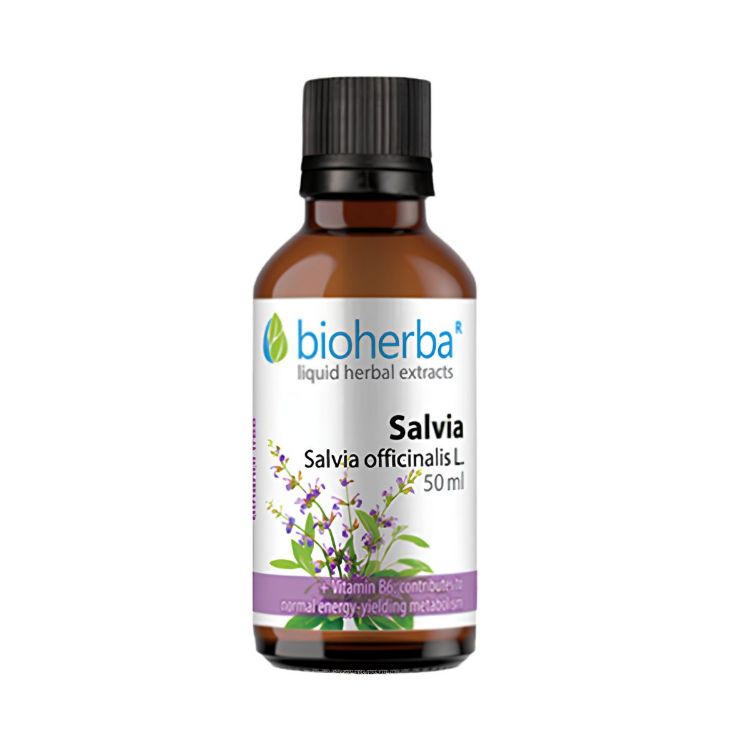 Obrázek Šalvěj – tinktura kapky – 50 ml – Bioherba