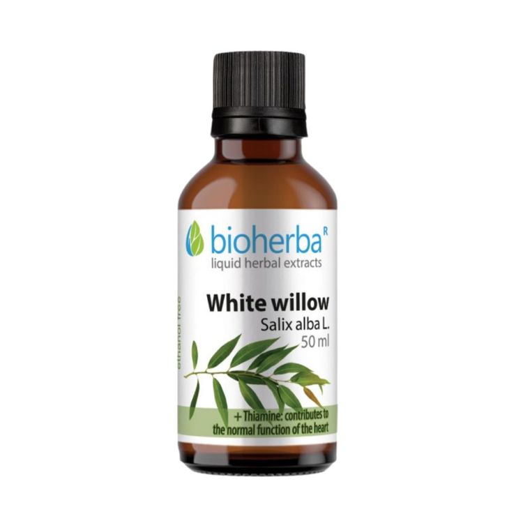 Obrázek Vrba bílá – tinktura kapky – 50 ml – Bioherba