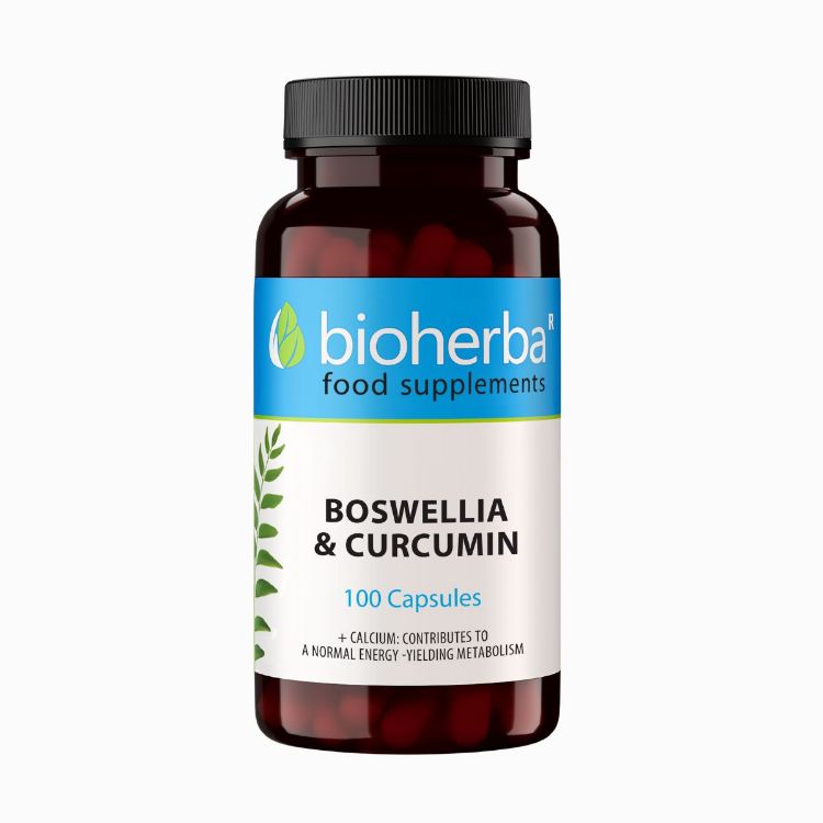 Obrázek Boswellia a kurkumin – 100 kapslí – Bioherba