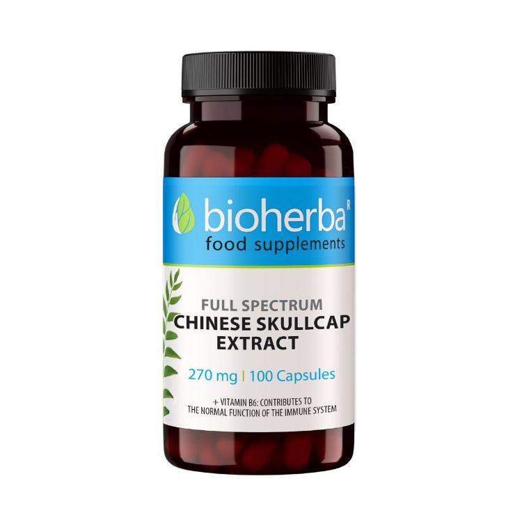 Obrázek Bajkalský šišák extrakt 270 mg – 100 kapslí – Bioherba
