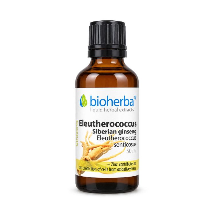 Obrázek Sibiřský ženšen kapky – tinktura – 50 ml – Bioherba