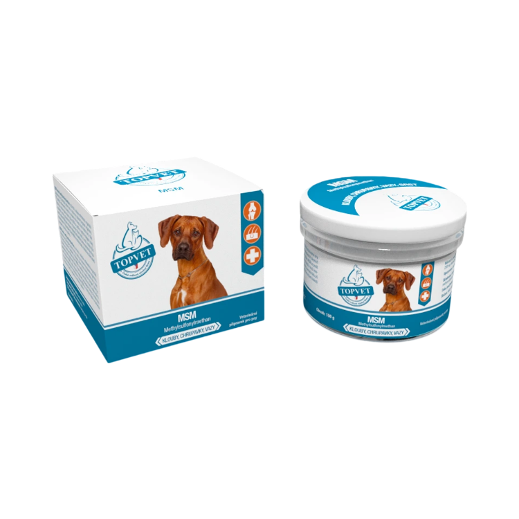 Obrázek MSM pro psy 100 g – Green idea