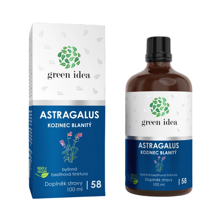 Obrázek Astragalus – bezalkoholová tinktura 100 ml – Green idea