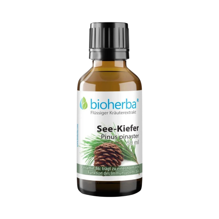 Obrázek Borovice přímořská - tinktura kapky - 50 ml - Bioherba