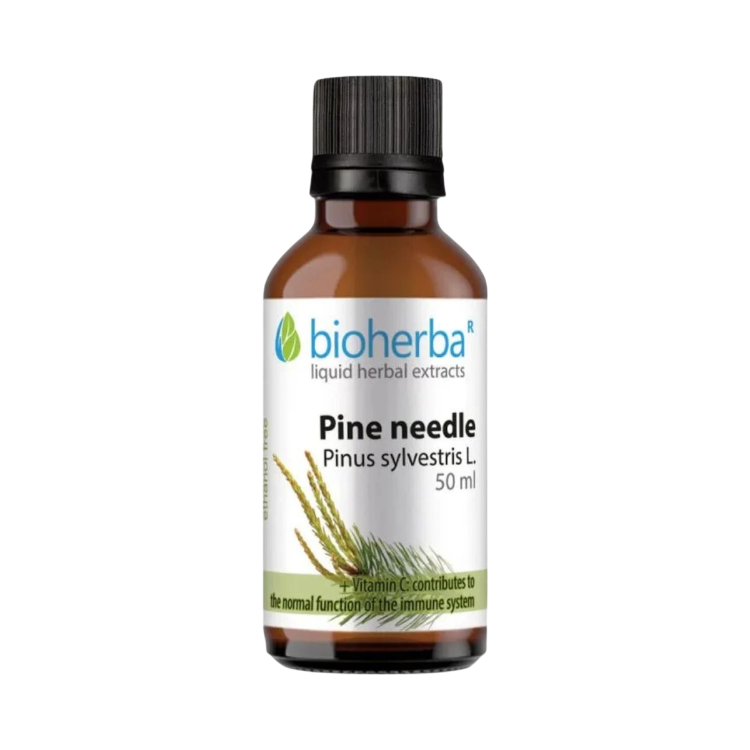 Obrázek Borovicové výhonky – tinktura kapky – 50 ml – Bioherba