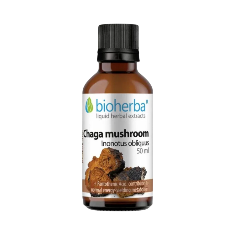 Obrázek Čaga – tinktura kapky – 50 ml – Bioherba