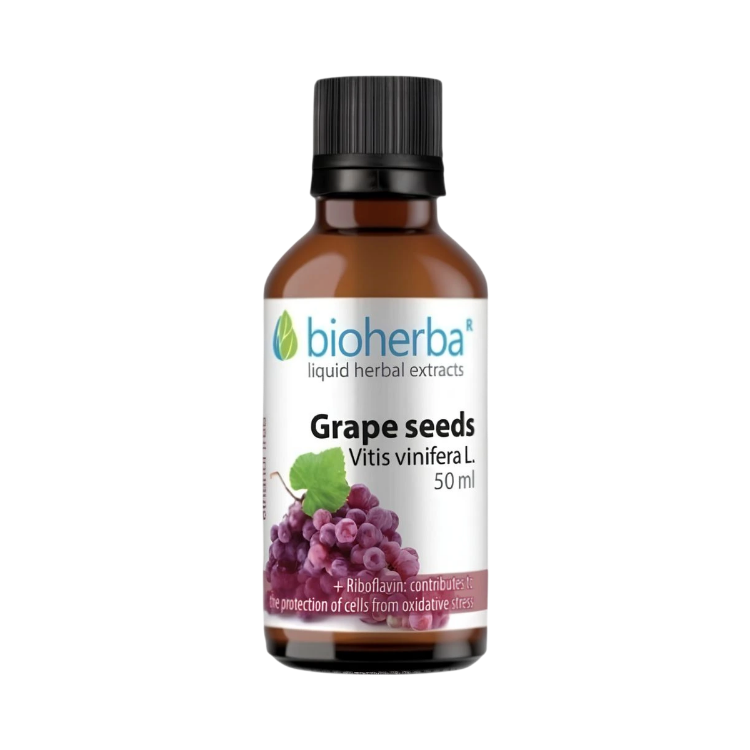 Obrázek Hroznová jadérka – tinktura kapky – 50 ml – Bioherba