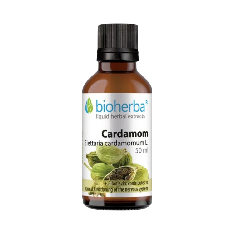 Obrázek Kardamom – tinktura kapky – 50 ml – Bioherba