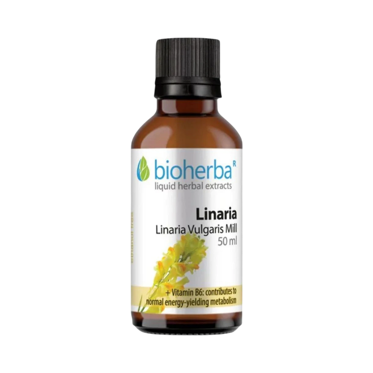 Obrázek Lnice obecná – tinktura kapky – 50 ml – Bioherba