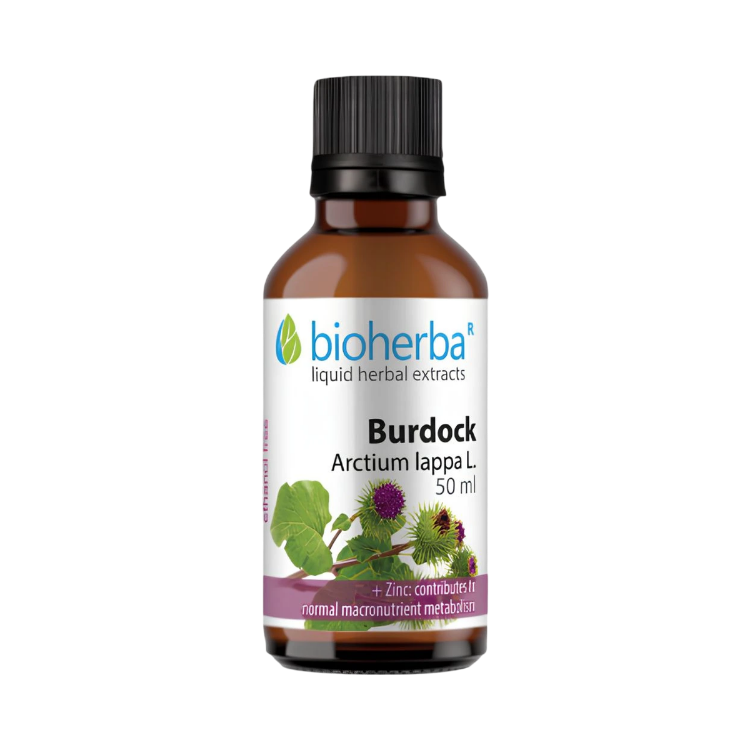 Obrázek Lopuch větší – tinktura kapky – 50 ml – Bioherba
