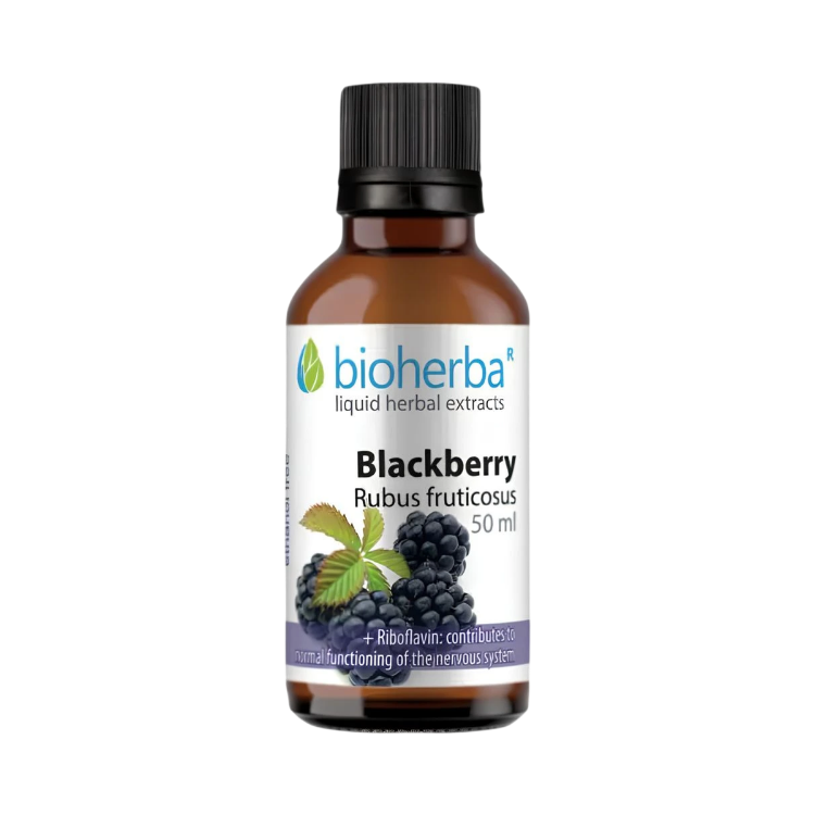 Obrázek Ostružina – tinktura kapky – 50 ml – Bioherba