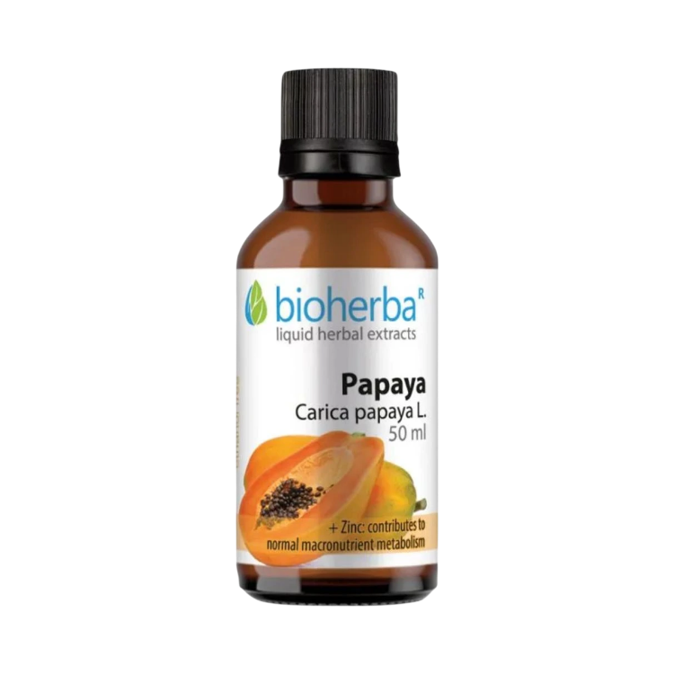 Obrázek Papája – tinktura kapky – 50 ml – Bioherba