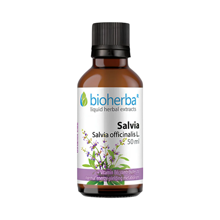 Obrázek Šalvěj – tinktura kapky – 50 ml – Bioherba